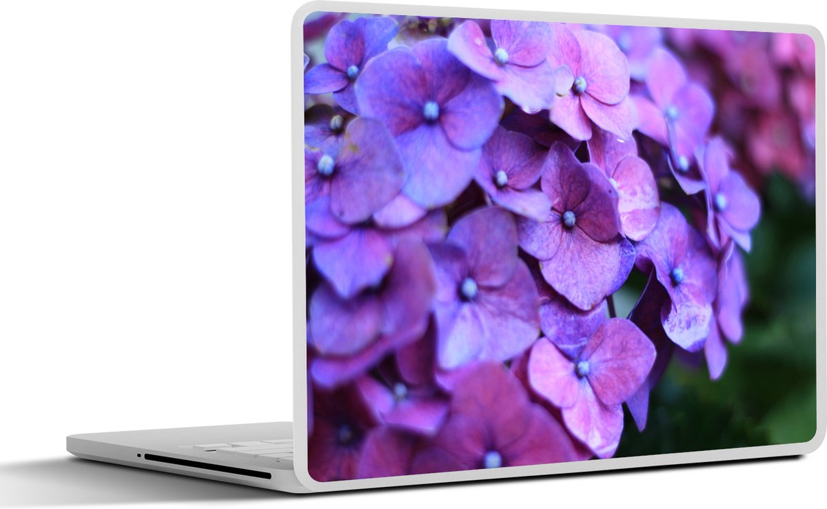 Laptop sticker - 11.6 inch - Bloemen - Paars - Hortensia - Natuur - Bloemblaadjes - 30x21cm - Laptopstickers - Laptop skin - Cover
