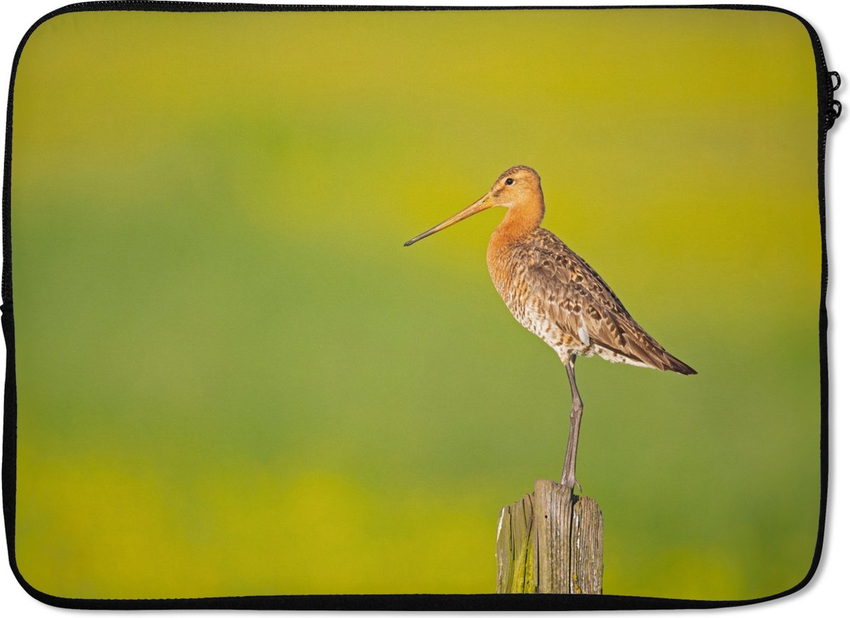 Laptophoes 14 inch - Vogel - Dieren - Grutto - Paal - Groen - Laptop sleeve - Binnenmaat 33x23 cm - Zwarte achterkant