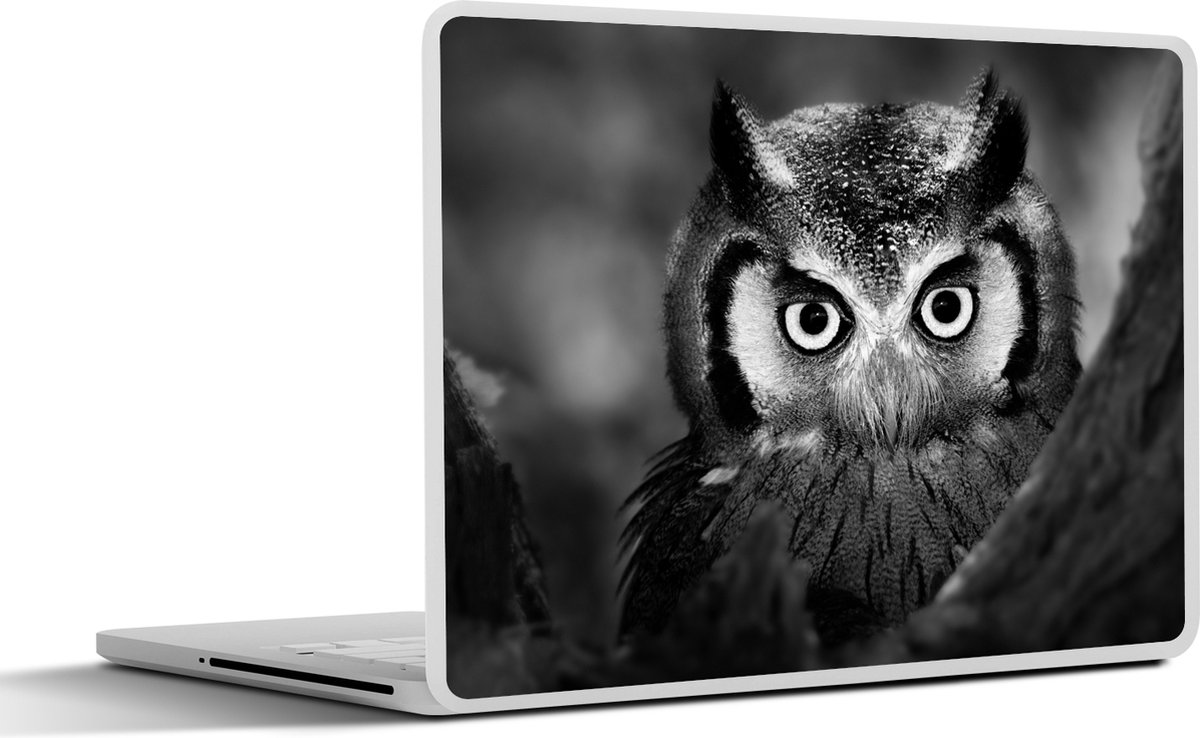 Laptop sticker - 13.3 inch - Vogel - Uil - Portret- Zwart - Wit - 31x22,5cm - Laptopstickers - Laptop skin - Cover