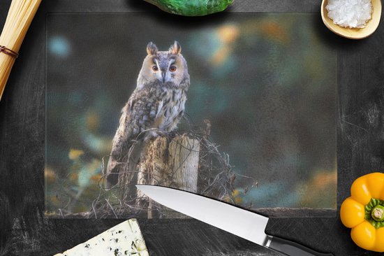 Planche à découper en Verres - 39x28 - Hibou - Automne - Vogel - Branches - Planches à découper en Glas