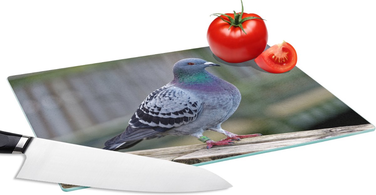 Glazen Snijplank - 28x20 - Duif - Vogel - Paars - Veren - Snijplanken Glas