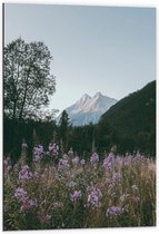 WallClassics - Dibond - Roze Bloesemtakken in Berggebied - 60x90 cm Foto op Aluminium (Met Ophangsysteem)