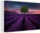 Tableau sur toile Lavande - Arbre - Violet - 60x40 cm - Décoration murale