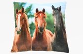Coussin décoratif imprimé cheval 35 cm - Coussins animaux imprimé cheval 35 cm