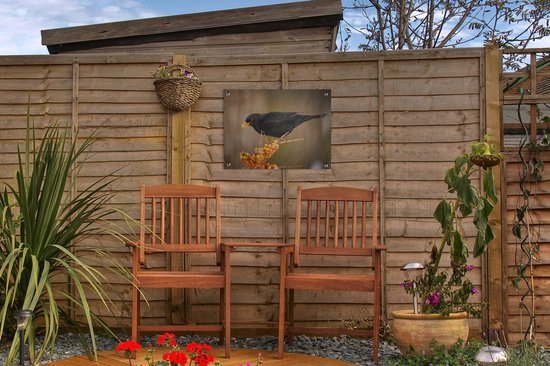 Décoration de Jardin Vogel - Merle - Hiver - Glace - Baie - 40x30 cm - Toile de jardin - Poster extérieur