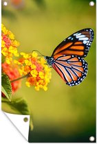Tuindecoratie Vlinder - Insecten - Bloemen - Geel - 40x60 cm - Tuinposter - Tuindoek - Buitenposter