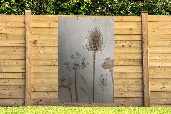 Tuinposter met bruine, vintage stilleven van gedroogde bloemen: distel, klaprozen en papaver, hangend aan een houten schutting.