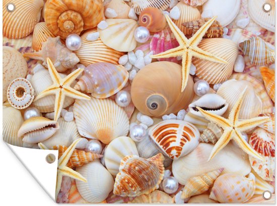 Couette 4 Pièces – Thème Plage Tropicale – Poisson, étoile De Mer – Taille Full/Queen