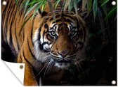 Muurdecoratie buiten Tijger - Bladeren - Jungle - Dieren - Wild - 160x120 cm - Tuindoek - Buitenposter