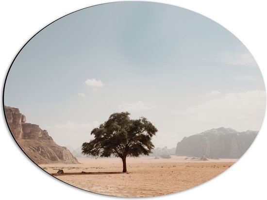 WallClassics - Dibond Ovaal - Eenzame Boom in Woestijn - 56x42 cm Foto op Ovaal (Met Ophangsysteem)