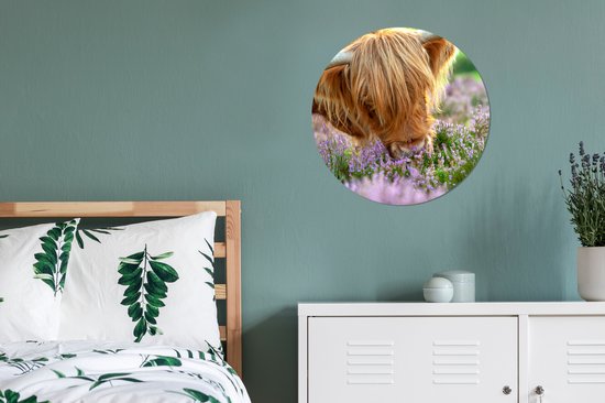 WallCircle - Stickers muraux muraux - Cercle de papier peint - Highlander écossais - Herbe - Bruyère - Animaux - 50x50 cm - Cercle mural - Autocollant - Autocollant de papier peint rond