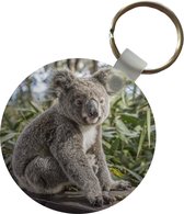 Sleutelhanger - Koala - Hout - Planten - Kids - Jongens - Meiden - Plastic - Rond - Uitdeelcadeautjes