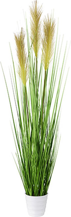 Kunstplant in Pot Tradescantia Groen Wit 19cm - Tuincentrum GroenRijk Den Bosch