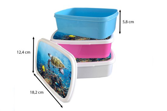 Boîte à pain Wit - Lunch box - Lunch box - Tortue au récif de corail - 18x12x6 cm - Adultes