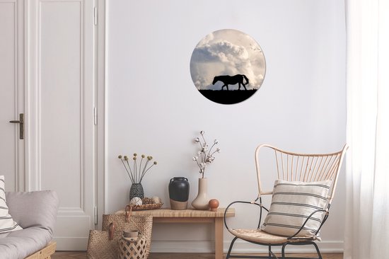 Papier Peint Cercle - Cheval - Nuages - Ombre - 30x30 cm - Cercle Mural - Auto Adhésif - Autocollant Papier Peint Rond