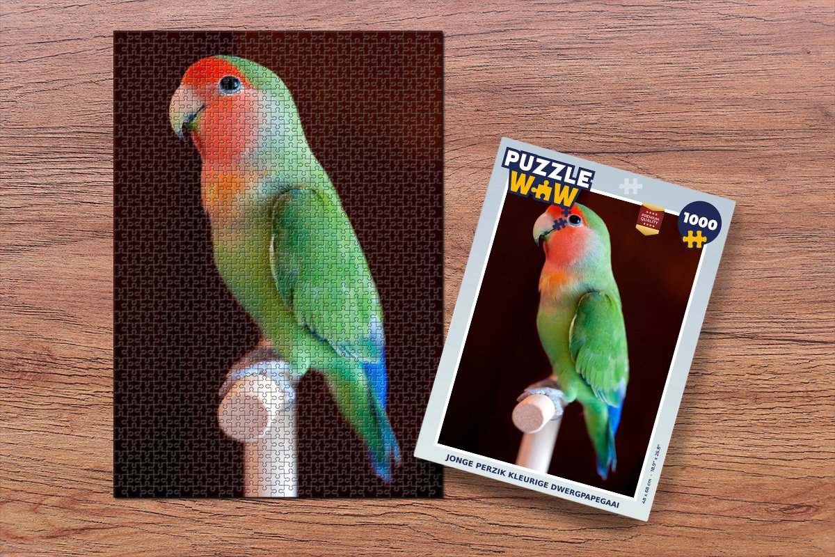 Puzzel Jonge perzik kleurige dwergpapegaai - Legpuzzel - Puzzel 1000 stukjes volwassenen