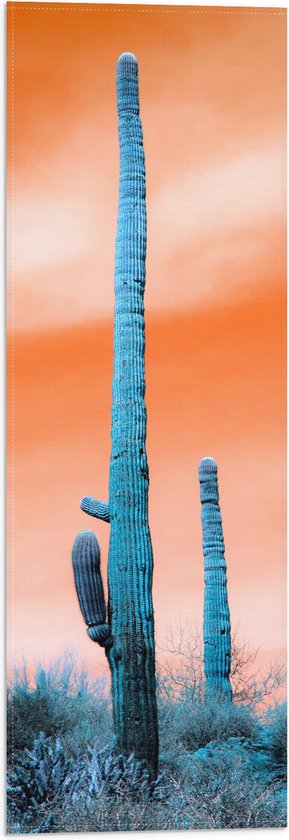 WallClassics - Vlag - Cactussen in Veld onder Oranje Lucht - 20x60 cm Foto op Polyester Vlag