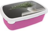 Broodtrommel Roze - Lunchbox - Brooddoos - Stilleven - Vaas - Bloemen - 18x12x6 cm - Kinderen - Meisje