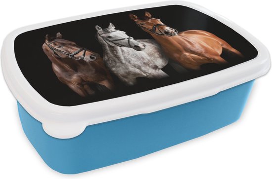 Broodtrommel Blauw - Lunchbox - Brooddoos - Paarden - Dieren - Zwart - 18x12x6 cm - Kinderen - Jongen