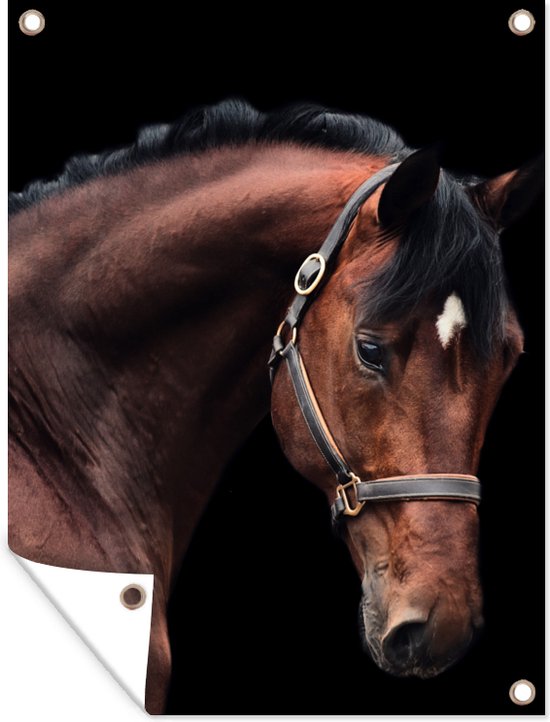 Oeillère (Blinder) Pour Cheval De Course - Respirante En Cuir PU, Protection Contre Sable Et Poussière - Taille Unique Noir