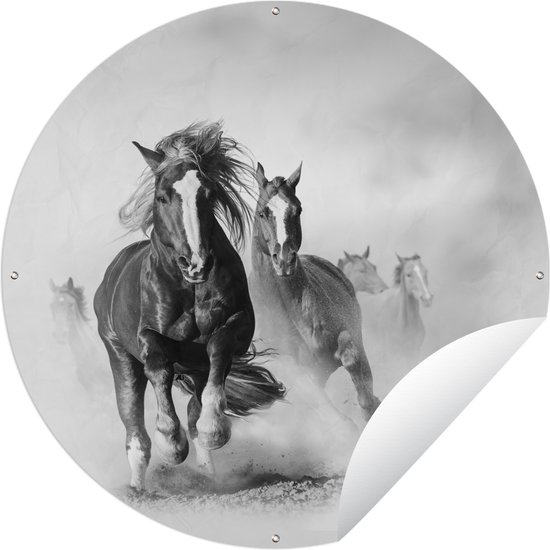 Garden Circle Paarden - Animaux - Dessin - 60x60 cm - Affiche Ronde de Jardin - Extérieur