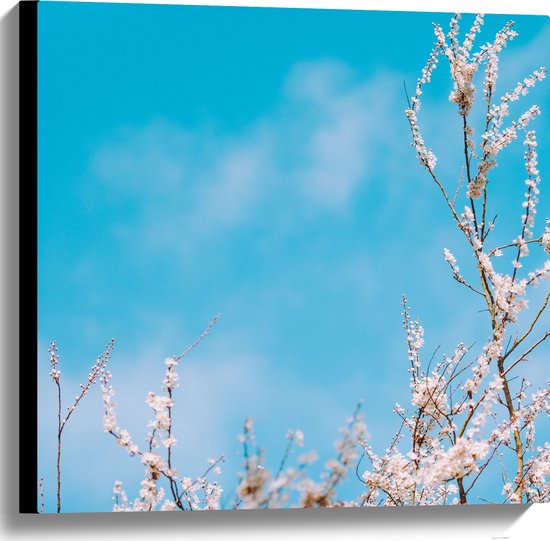 WallClassics - Canvas  - Bloesemtakken onder Felblauwe Lucht in de Lente - 60x60 cm Foto op Canvas Schilderij (Wanddecoratie op Canvas)