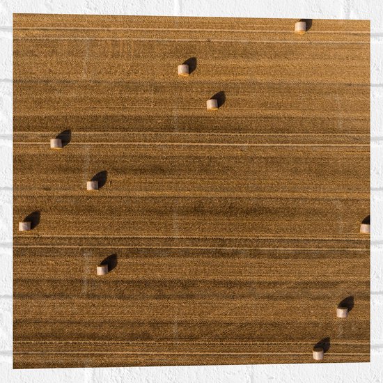 WallClassics - Muursticker - Bovenaanzicht van Hooibalen op Landbouwgrond - 50x50 cm Foto op Muursticker