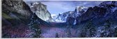 WallClassics - Acrylglas - Besneeuwde Bergen met Bomen en Rotsen - 60x20 cm Foto op Acrylglas (Met Ophangsysteem)