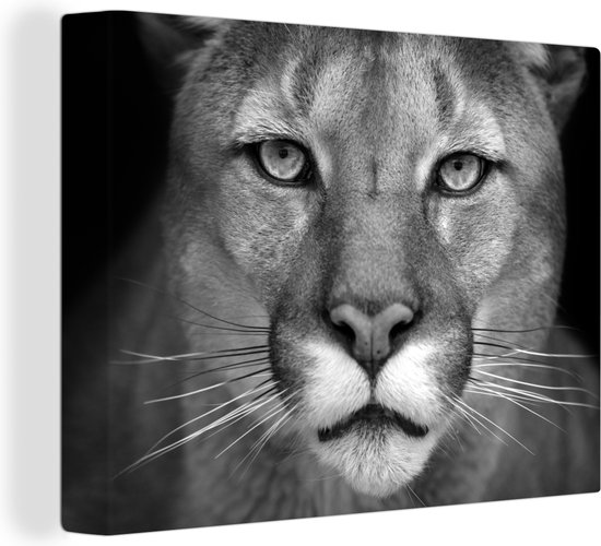 Canvas schilderij - Wilde dieren - Panter - Zwart - Wit - Canvas doek - 40x30 cm - Muurdecoratie - Foto op canvas