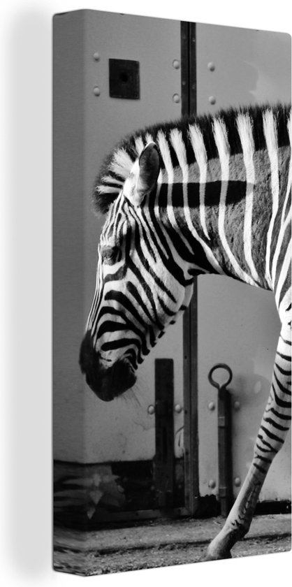 Peinture sur toile - Animaux sauvages - Zebra - Mur - Porte - Décoration murale - Toile - 20x40 cm - Tableau sur toile - Décoration de la maison