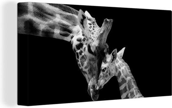Canvas - Wilde dieren - Giraffe - Familie - Zwart - Wit - Schilderijen op canvas - Canvas doek - 80x40 cm - Wanddecoratie - Woonkamer