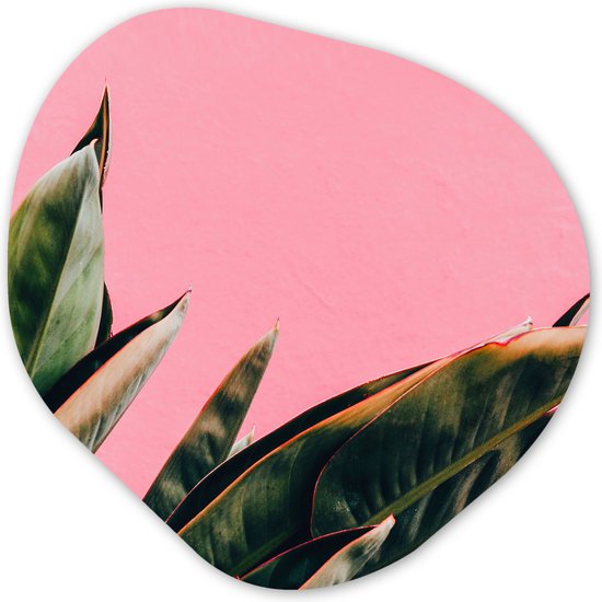 Décoration murale Organique - Décoration murale Plastique - Peinture Organique - Plantes - Feuilles - Langue de Femme - Rose - Tropical - 40x40 cm - Forme miroir asymétrique sur plastique