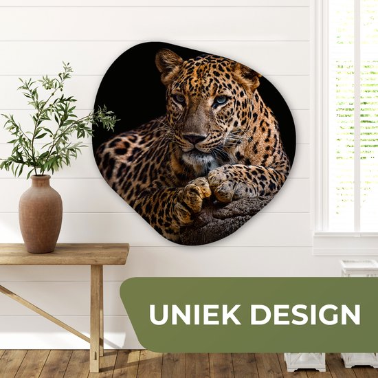Décoration murale bio - Décoration murale en plastique - Tableau bio - Animaux sauvages - Panthère - Portrait - Zwart - Animaux- 90x90 cm - Forme miroir bio sur plastique