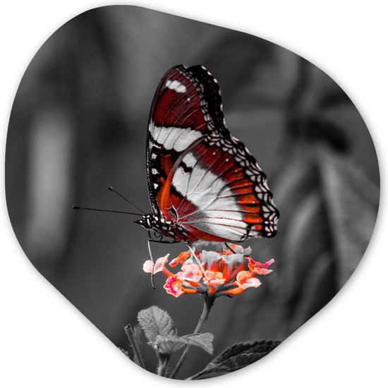 Organische Wanddecoratie - Kunststof Muurdecoratie- Organisch Schilderij - Vlinder - Dieren - Bloemen - Zwart wit - Oranje- 90x90 cm - Organische spiegel vorm op kunststof