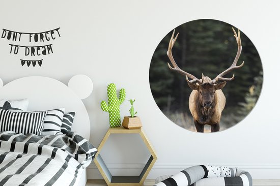 Wallpaper Circle - Cerf - Arbre - Bois - ⌀ 120 cm - Wall Circle - Auto-adhésif - Round Wallpaper Sticker XXL