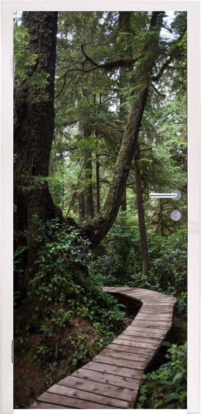 Deursticker Houten brug in de bemoste bossen van het regenwoud in Costa Rica - 75x205 cm - Deurposter