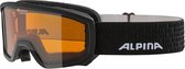 Alpina Scarabeo Junior OTG Skibril - Zwart | Categorie 2