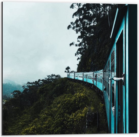 WallClassics - Dibond - Blauwe Trein door Begroeiing op Brug - 50x50 cm Foto op Aluminium (Wanddecoratie van metaal)