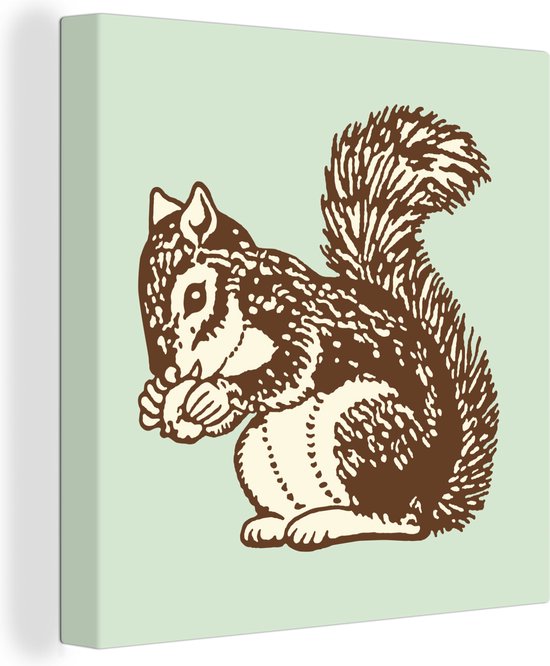 Une illustration d'un écureuil avec une toile de gland 20x20 cm - petit - Tirage photo sur toile (Décoration murale salon / chambre) / Animaux sauvages Peintures sur toile