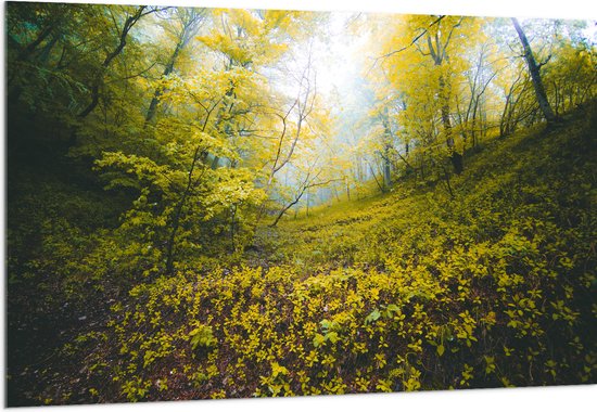 WallClassics - Acrylglas - Begroeide Heuvel in het Bos - 150x100 cm Foto op Acrylglas (Met Ophangsysteem)