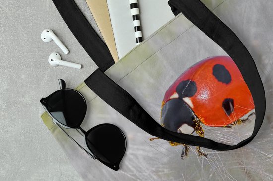 Sac bandoulière - Sac de plage - Shopper Coccinelle sur pissenlit - 45x45 cm - Sac coton