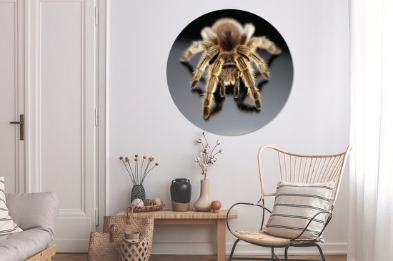 Close-up tarentule Cercle mural aluminium ⌀ 140 cm