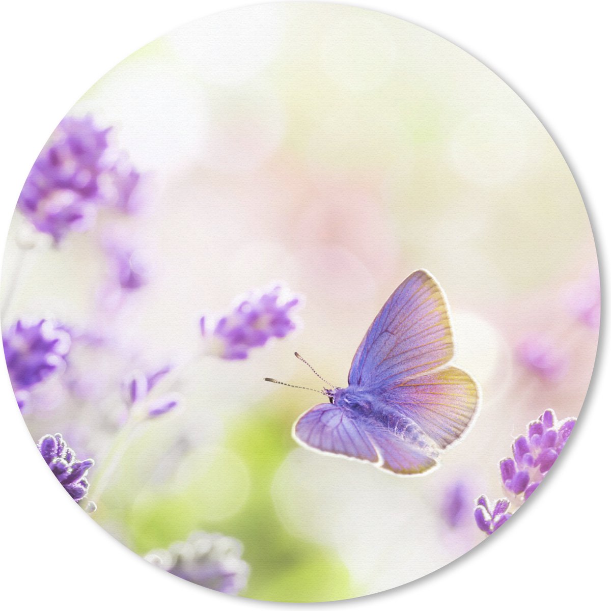 Muismat rond 40x40 cm - Mousepad Lavendel - Vlinder - Bloemen - Ronde muismatten