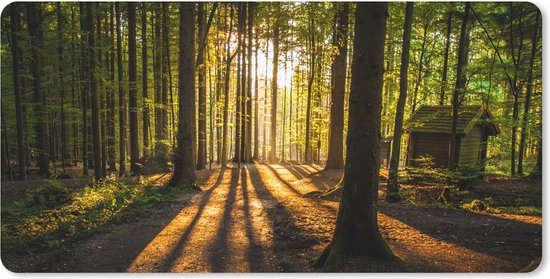 Foto: Bureau onderlegger muismat bureau mat zon bomen bos landschap natuur 80x40 cm