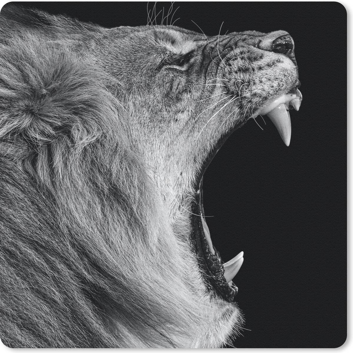 Muismat 20x20 cm - Mousepad Dieren - Leeuw - Zwart - Wit - Portret - Muismatten