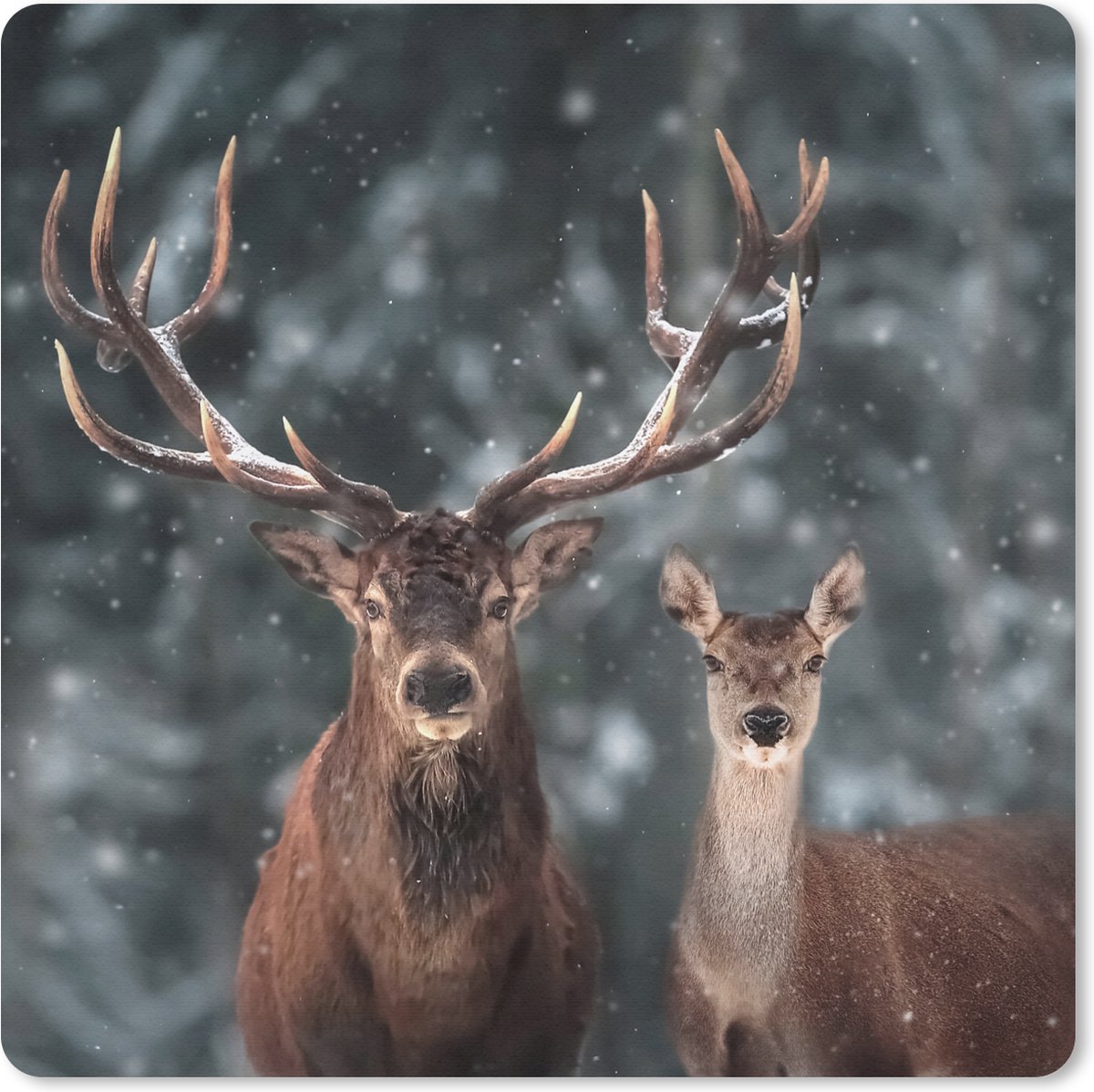 Muismat 20x20 cm - Mousepad Hert - Dieren - Winter - Gewei - Sneeuw - Natuur - Muismatten
