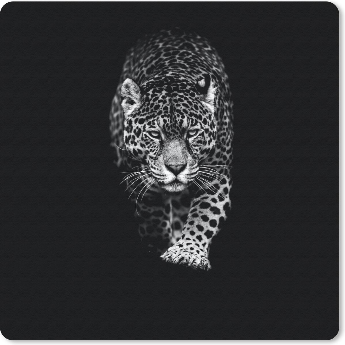 Muismat 30x30 cm - Mousepad Dieren - Zwart - Luipaard - Wit - Wild - Muismatten