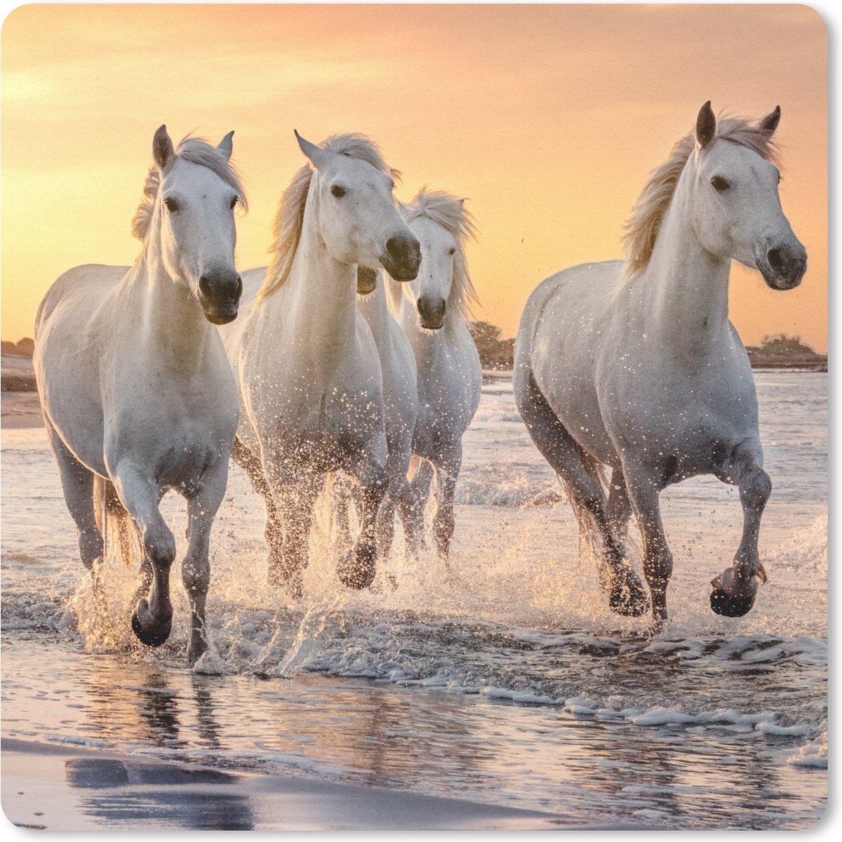 Muismat 30x30 cm - Mousepad Paarden - Zon - Zee - Strand - Dieren - Muismatten