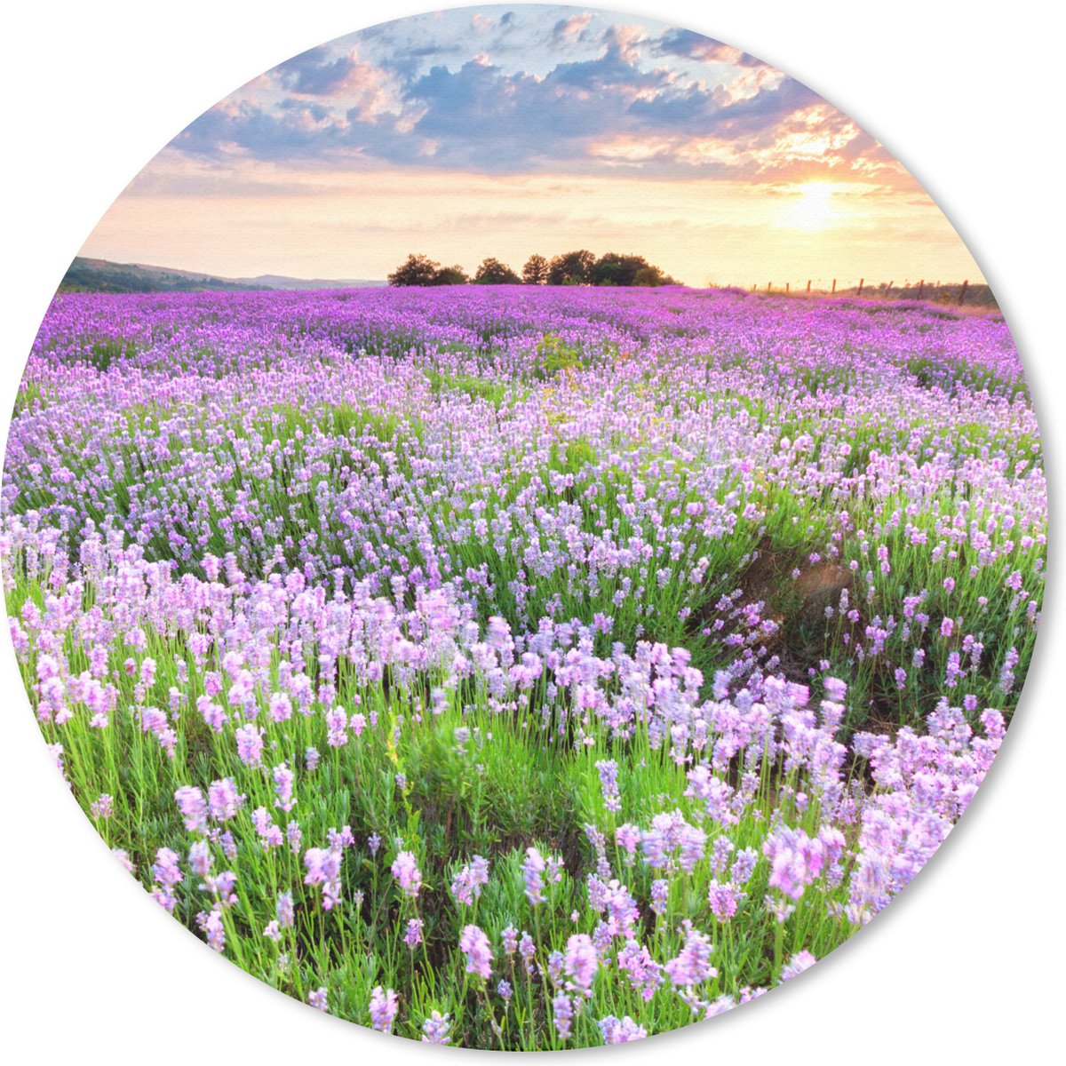 Muismat rond 20x20 cm - Mousepad Bloemen - Lavendel - Paars - Lucht - Zonsondergang - Weide - Natuur - Ronde muismatten