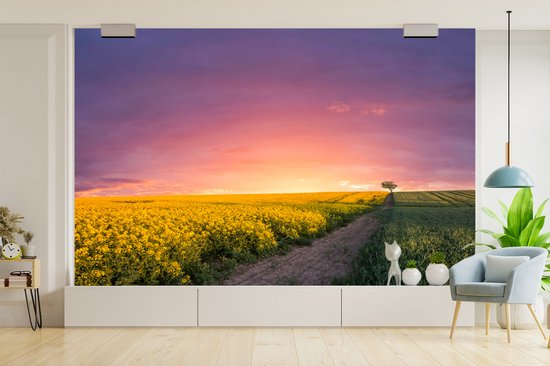 Route le long du champ de fleurs dans la nuit 345x220 cm